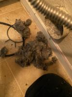Dryer Vent Cleaning image 16